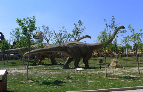 恐龙园的图片