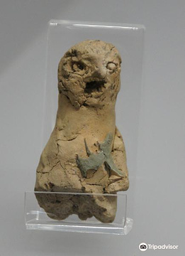 Archaeological Museum of Arlon的图片
