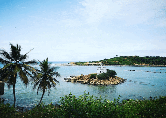 Ahanta Waves Surf School & Camp