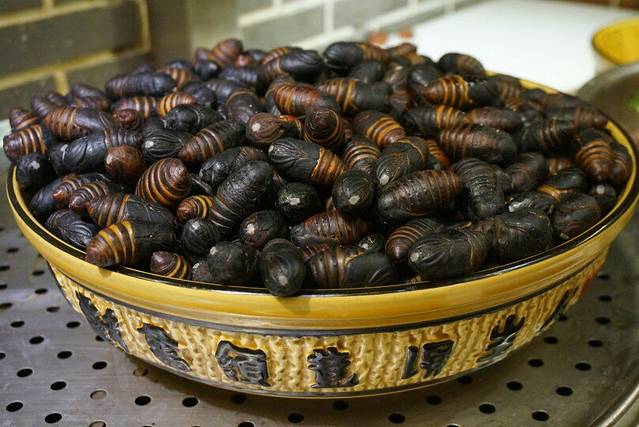 尚厨火锅串串香(中心路店)