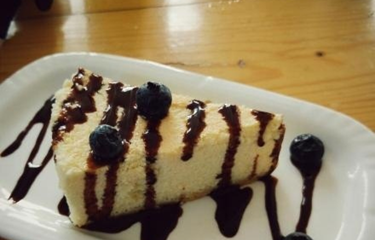 海边的猫和咖啡馆