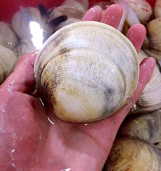 芭提雅海鲜市场