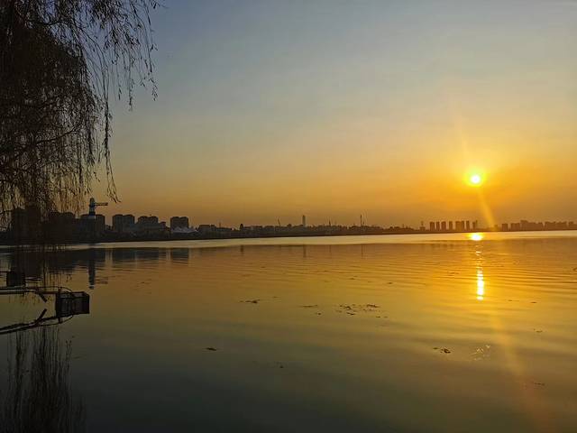 阳澄湖大闸蟹(湖滨路店)