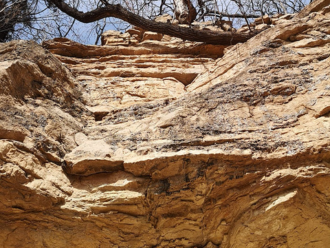 卓锡泉旅游景点图片