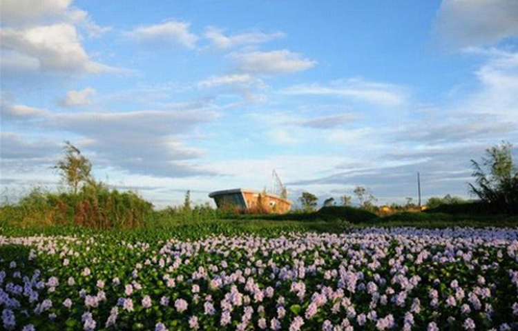 官渡五甲塘城市公园