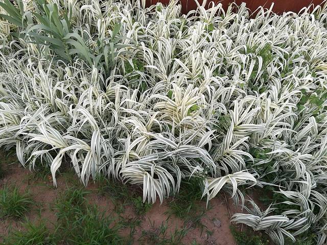 鲁能马主题竞技体育公园