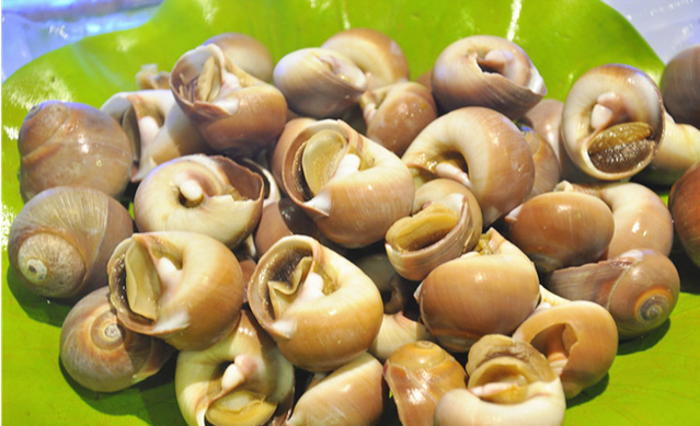 王府至尊酒店·自助餐厅