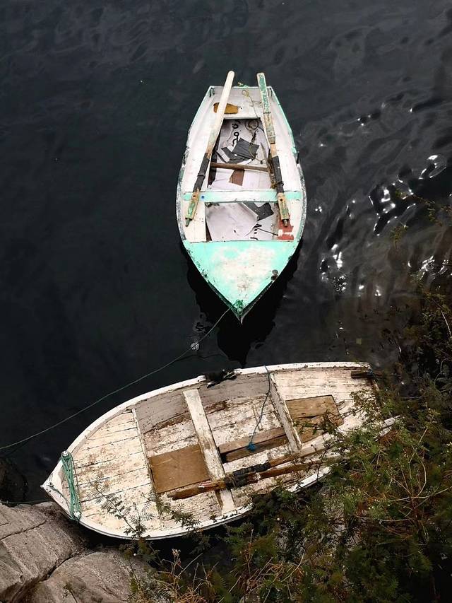 阿斯旺植物园区