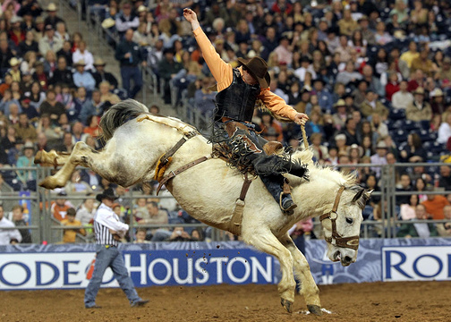 Houston Livestock Show and Rodeo Boardroom旅游景点图片