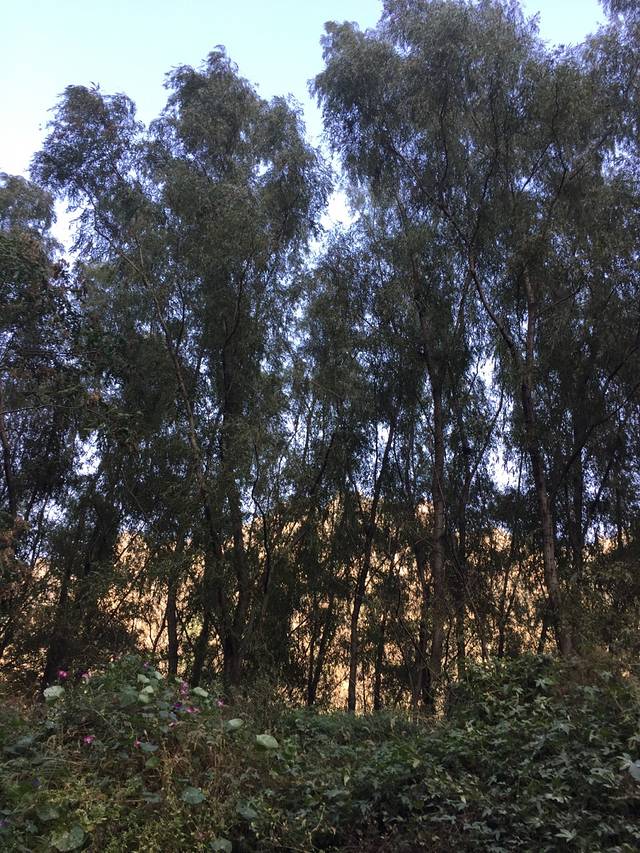 野三坡清泉山森林峡谷溶洞漂流