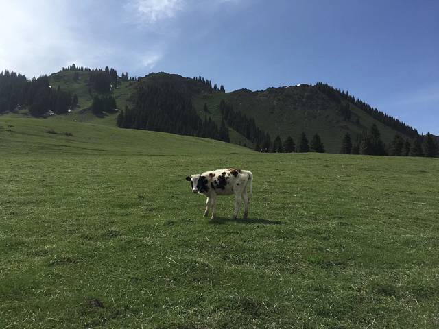 苜蓿台子旅游风景区