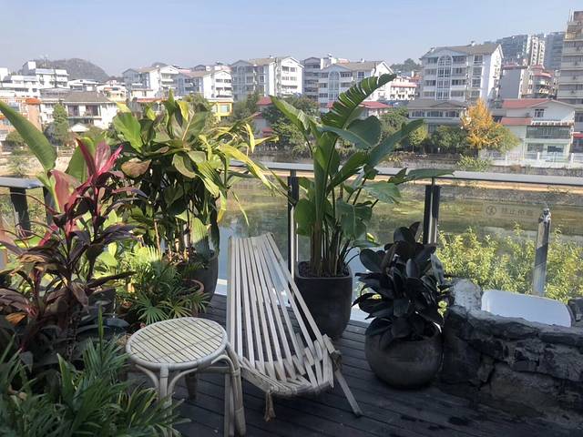 春庄·台上见·漓江乡野菜