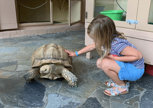 Aquaworld Aquarium & Reptile Rescue Centre旅游景点图片