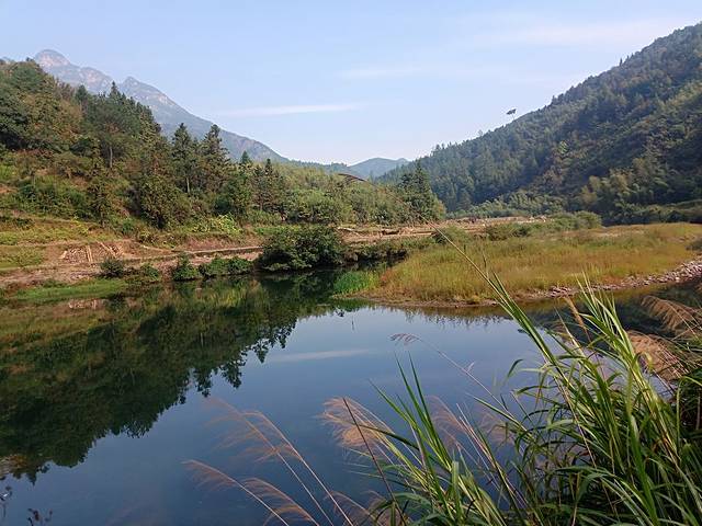 坡山村竹林小屋农家乐