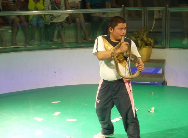 泰国红十字会萨瓦巴女王纪念研究所蛇园