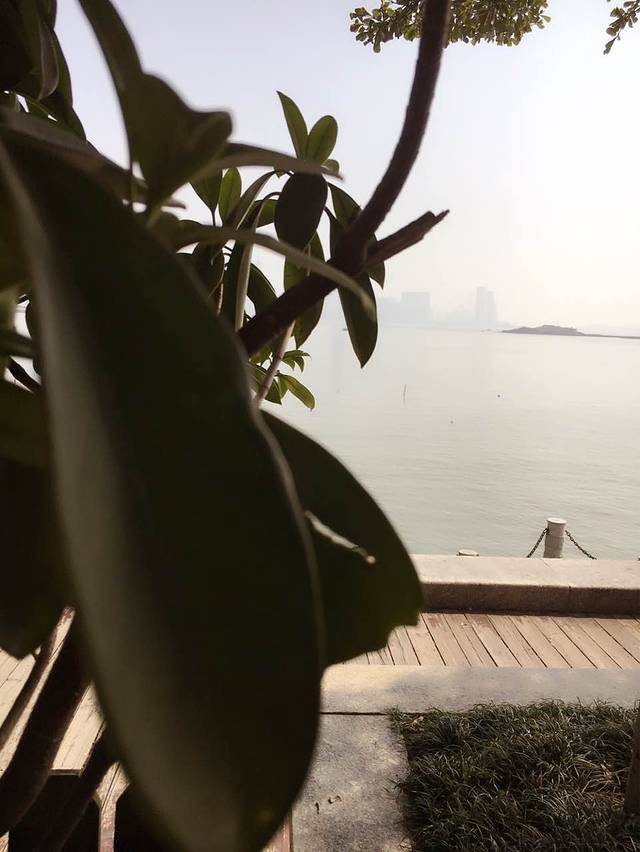 海角九号餐厅(海沧店)