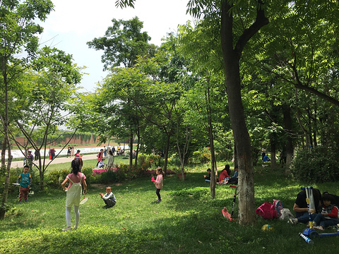木塔寺公园二期旅游景点图片