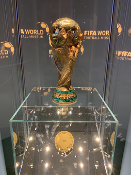 国际足联世界足球博物馆的图片