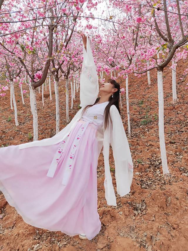 宜良山后樱花谷