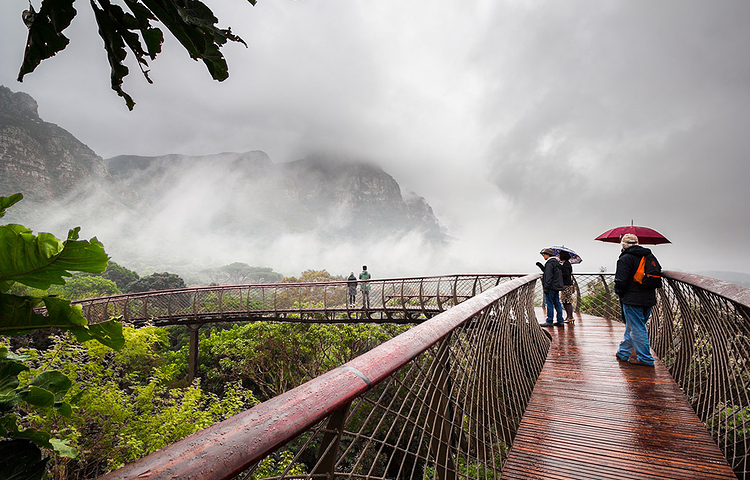 康斯坦博西植物园