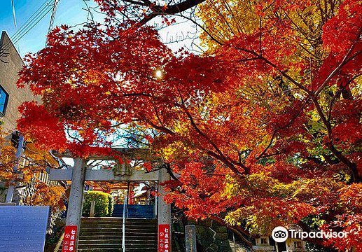 21红叶八幡宫 旅游攻略 门票 地址 问答 游记点评 福冈旅游旅游景点推荐 去哪儿攻略