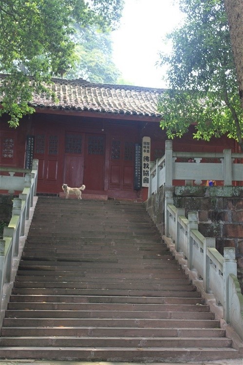 白鹤山-鹤林禅院