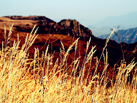 黄草梁自然风景区旅游景点图片
