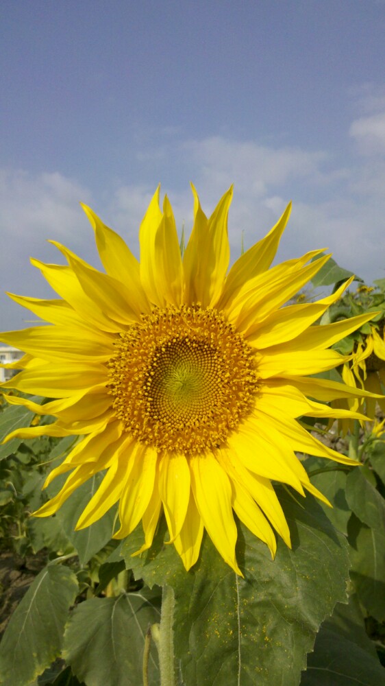 龙潭真味烧烤·美食城(武宣店)