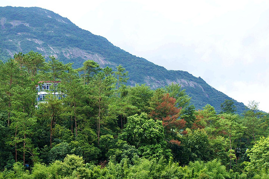 黄龙湖森林公园旅游景点图片