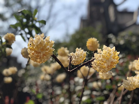 神户水果花卉公园旅游景点图片