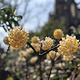 神户水果花卉公园