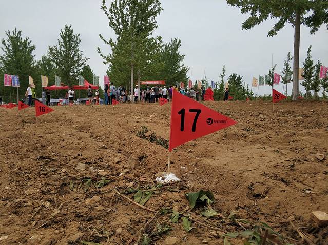 大连多彩燕园名校&名树主题公园