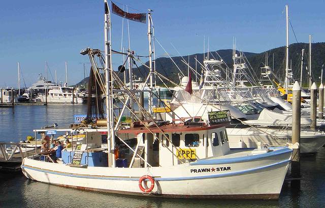 Prawn Star Cairns