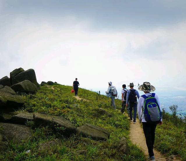 黄杨山森林公园