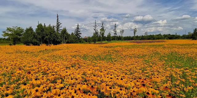 碱水河国家湿地公园