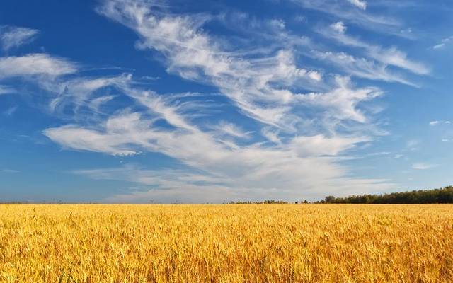 恒大金碧天下山顶公园