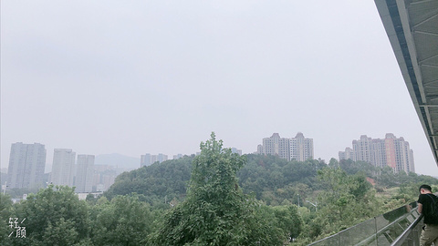 白马山公园-义丰寺的图片