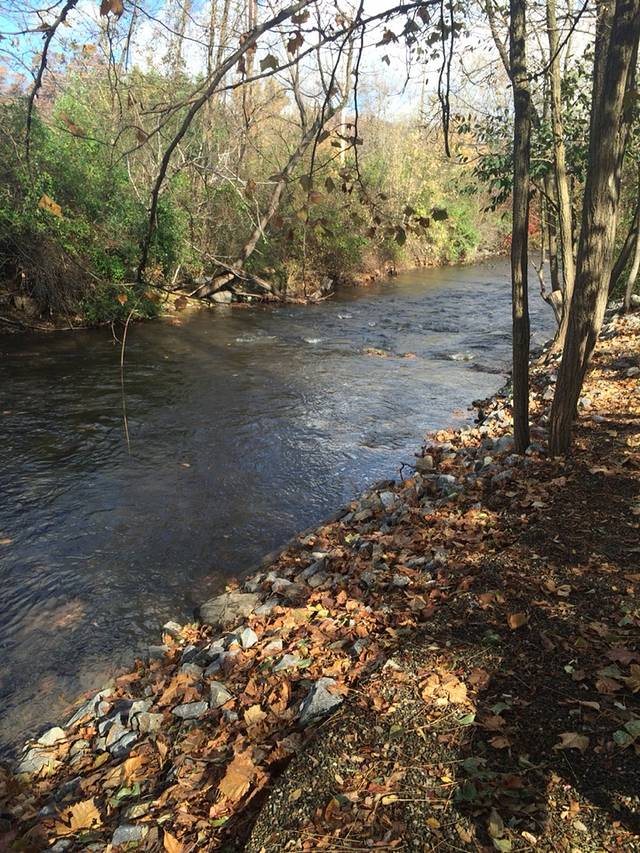 Panacea Coffeehouse Cafe & Roastery