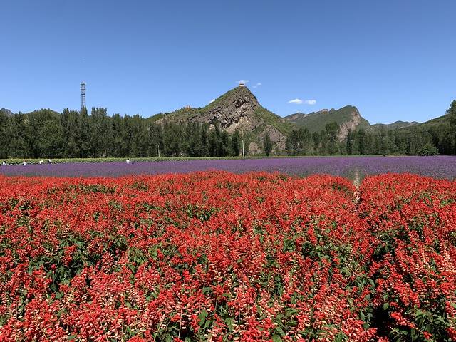 百里山水画廊清风农家院