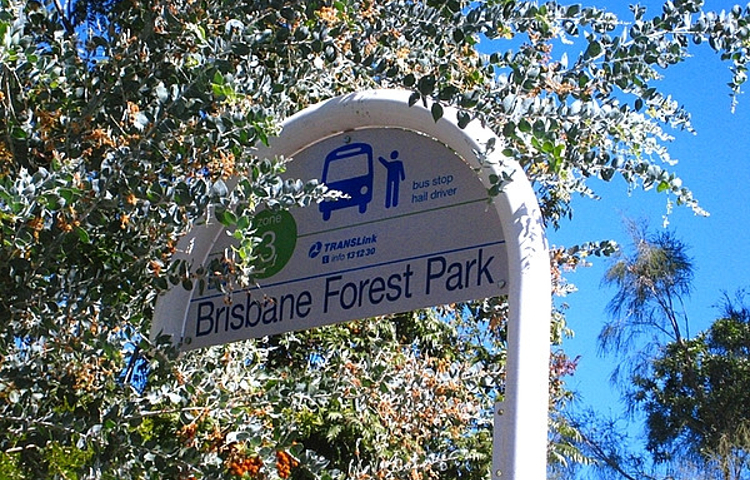 布里斯班森林公园