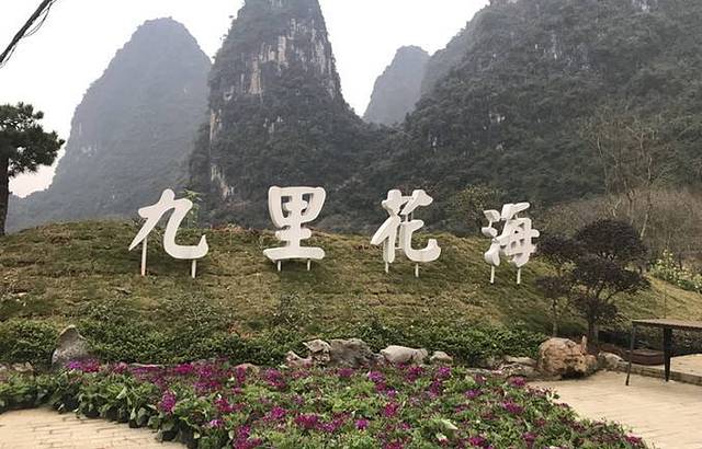 九里花海