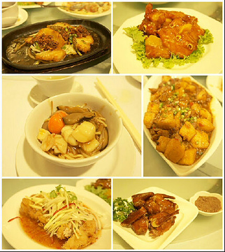 Tang Palace Chinese Restaurant