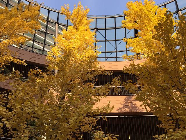 瑞虹天地月亮湾