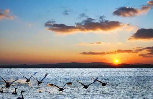 张北天鹅湖自然风景区