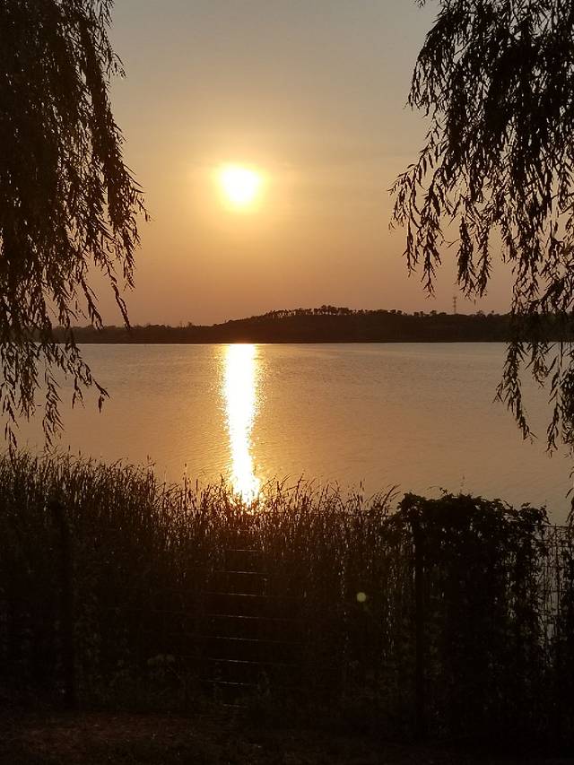 金乡县金平湖公园