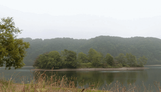 Lake Fujin旅游景点图片