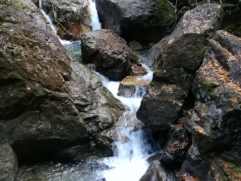 桃花源漂流旅游景点图片