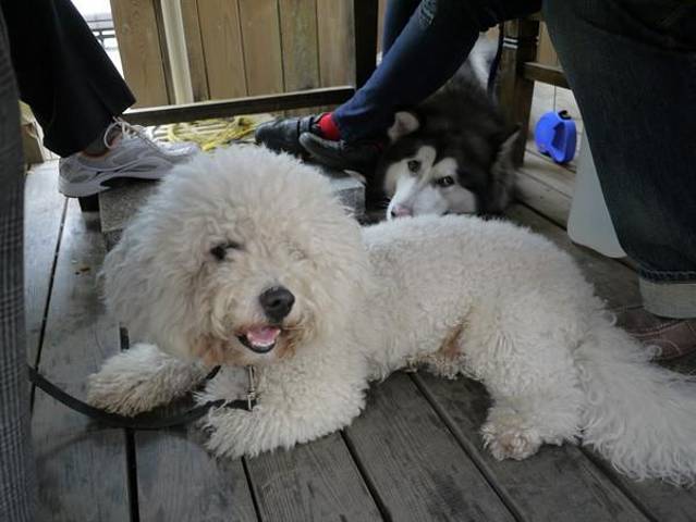 甘尼仕印度餐厅酒吧(月光码头店)