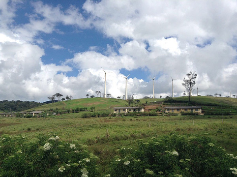 Ambewela农场旅游景点图片