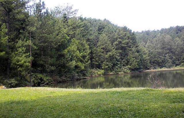 天马山国家森林公园